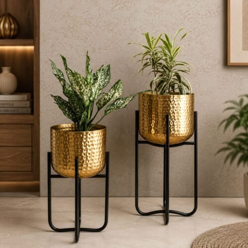Planters for Modern home